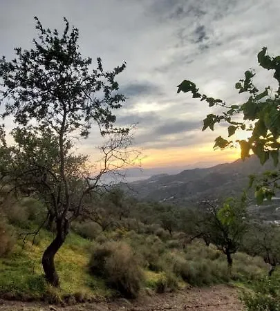 La Cabanita De Rose